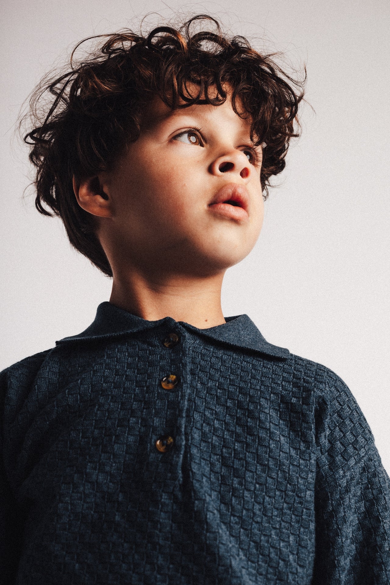 Milo | Blue dark - Image 6