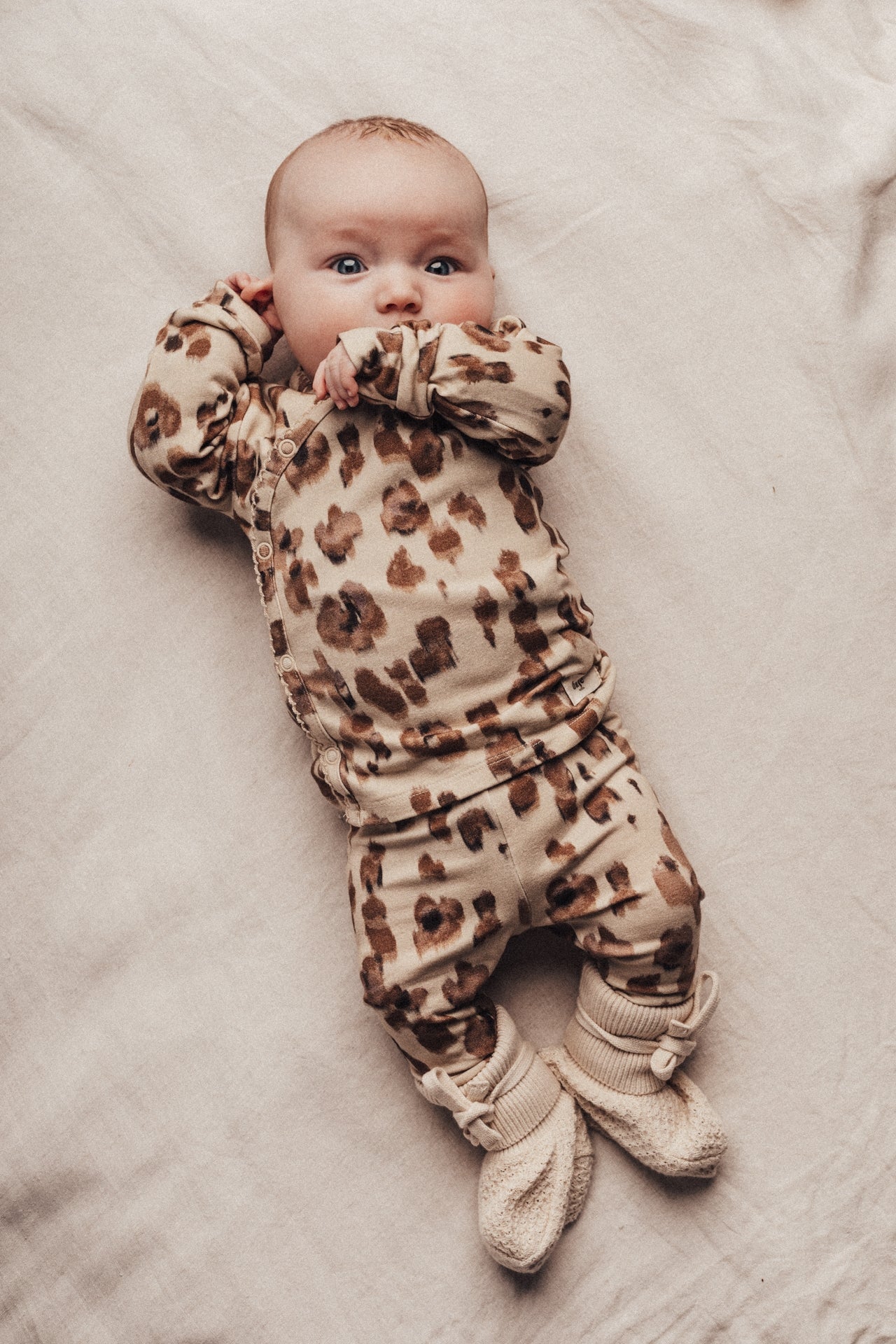 Myren | Animal AOP - Image 3
